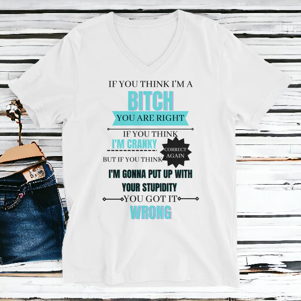 You're Right Unisex Short Sleeve V-Neck T-Shirt