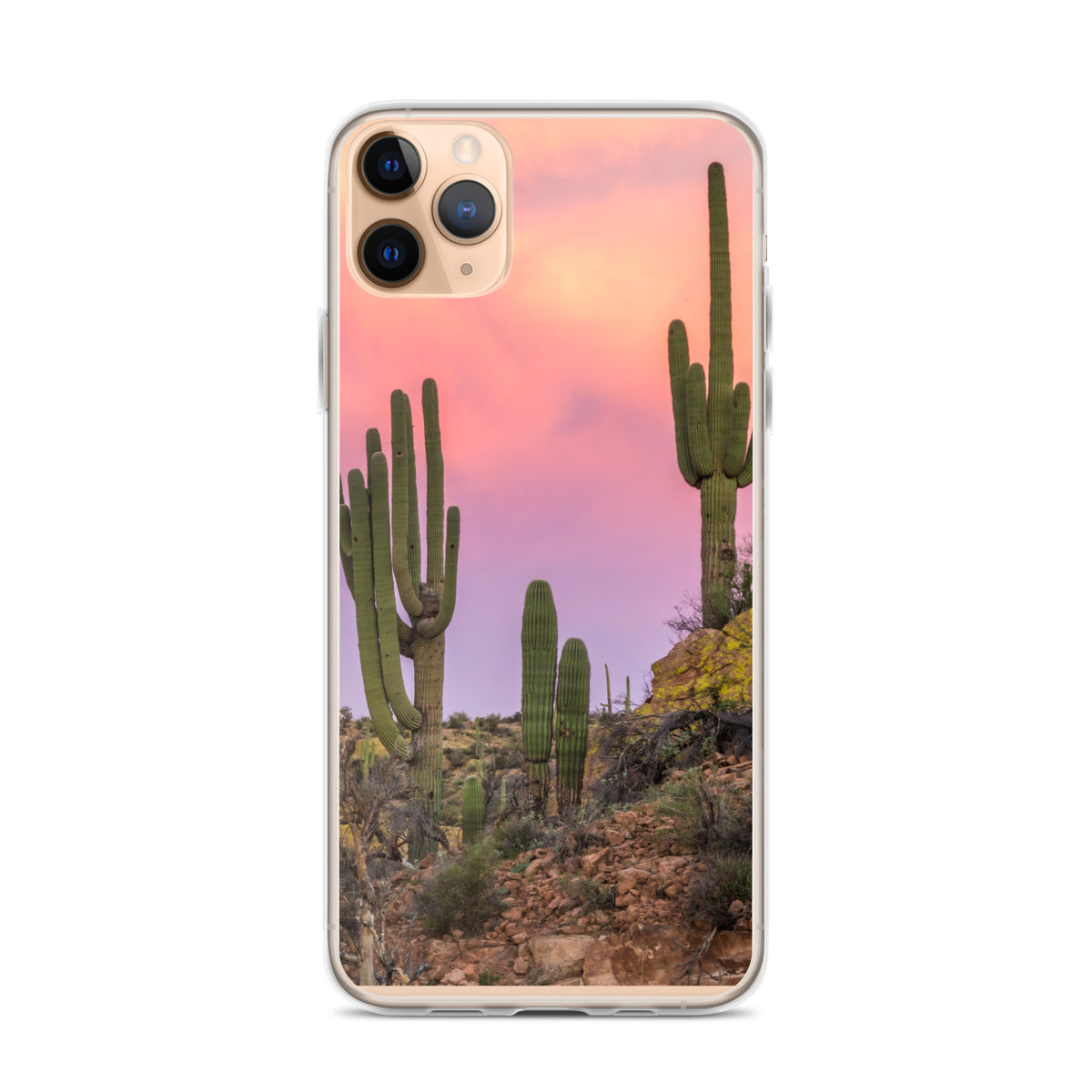 Desert Clear Case for iPhone®